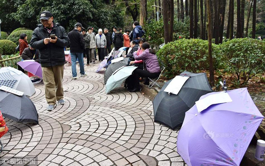 Cha mẹ TQ mang ô đến công viên xem mặt tìm bạn đời cho con